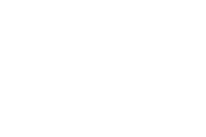 Elemetal